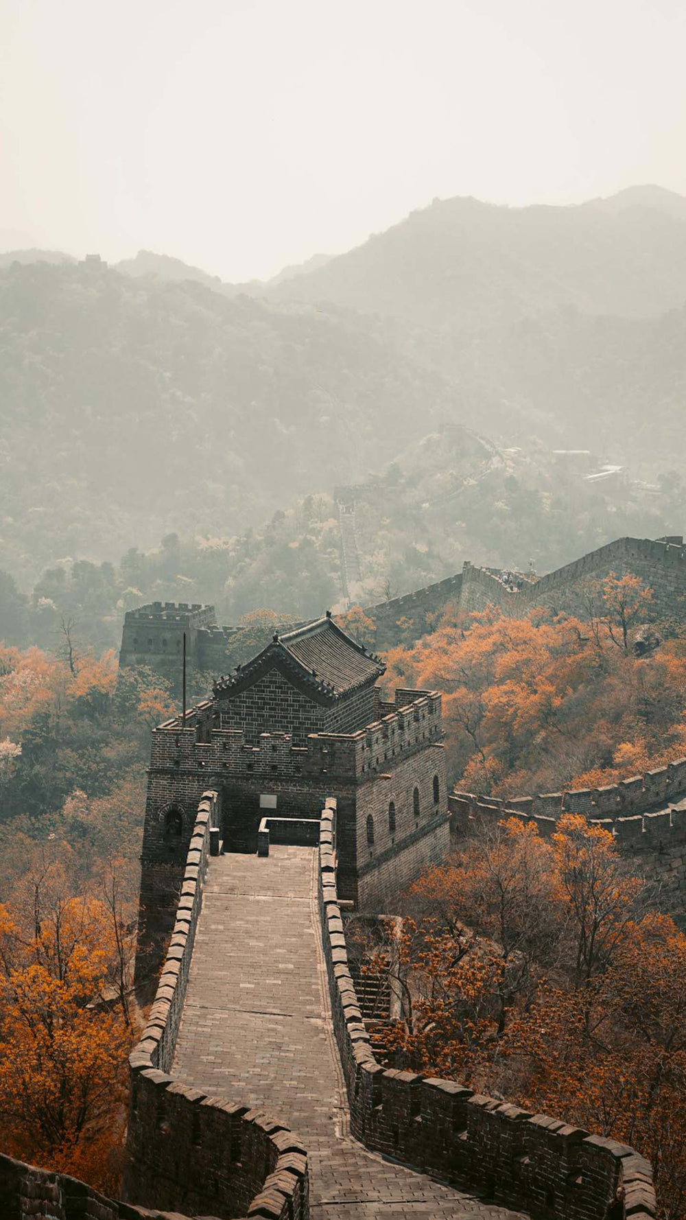 We honor the silent poetry of nature, crafting each piece as a tribute to the raw elegance and quiet power of earth's gifts.